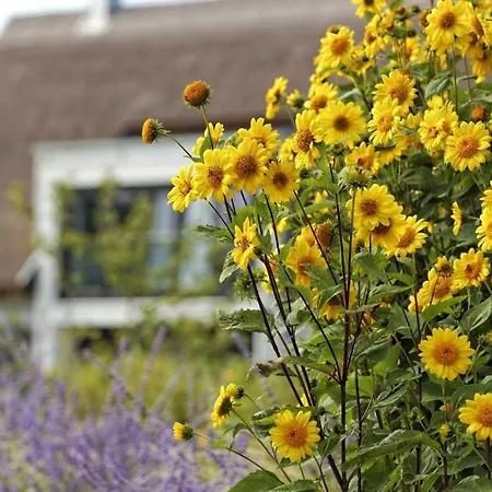 Kapitaensweg 14 Karlshagen