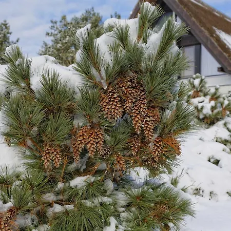 Feriehus Kapitaensweg 14 Karlshagen